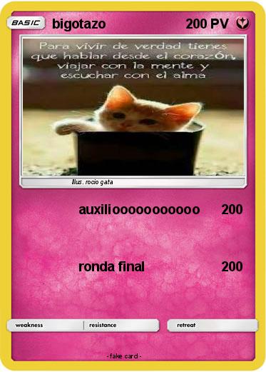 Pokemon bigotazo
