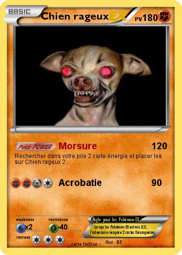 Pokemon Chien rageux