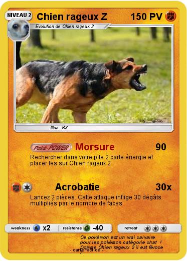 Pokemon Chien rageux Z