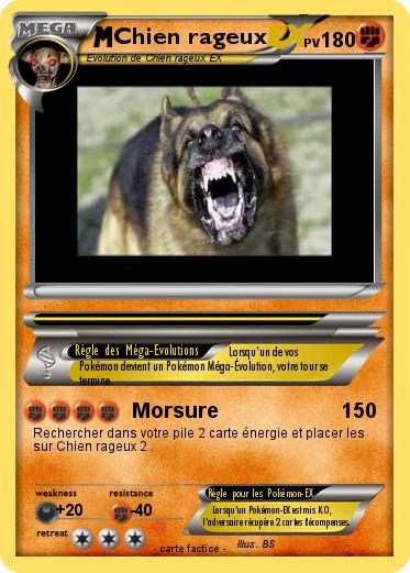 Pokemon Chien rageux