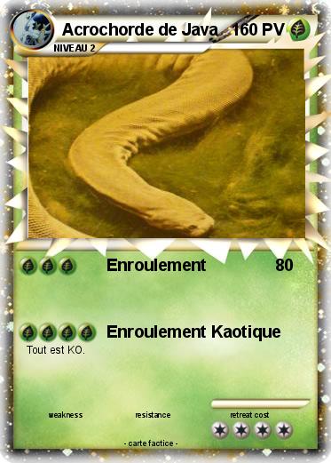 Pokemon Acrochorde de Java