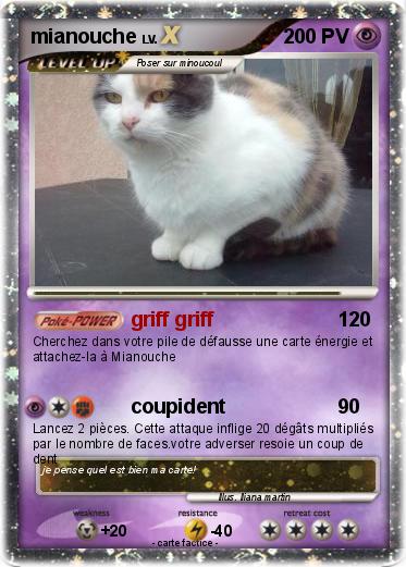 Pokemon mianouche