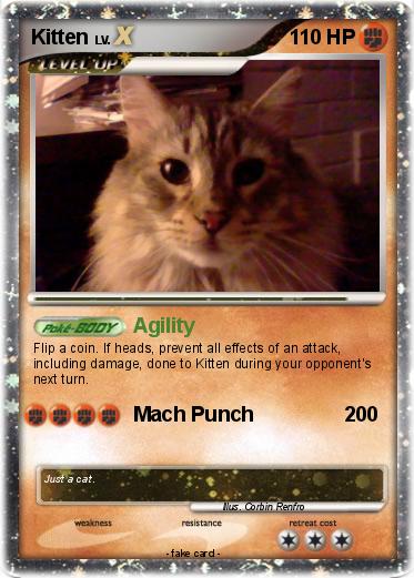 Pokemon Kitten