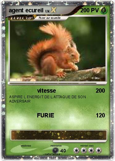 Pokemon agent ecureil