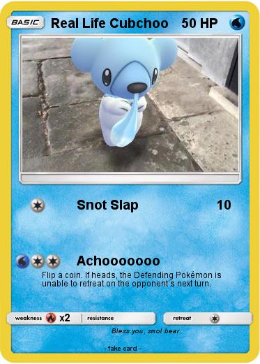 Pokemon Real Life Cubchoo
