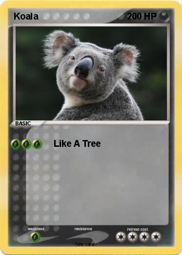 Pokemon Koala