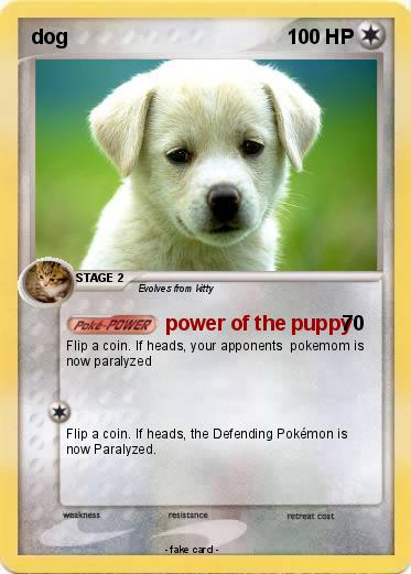 Pokemon dog