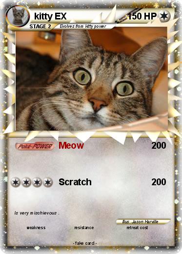 Pokemon kitty EX