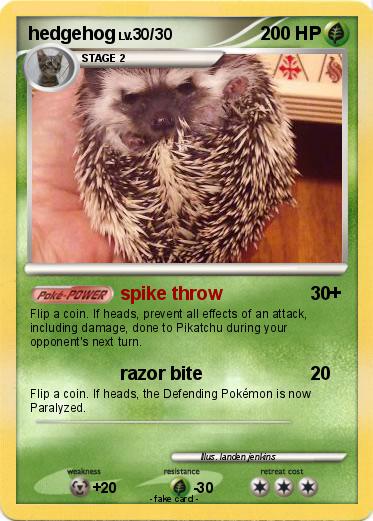 Pokemon hedgehog