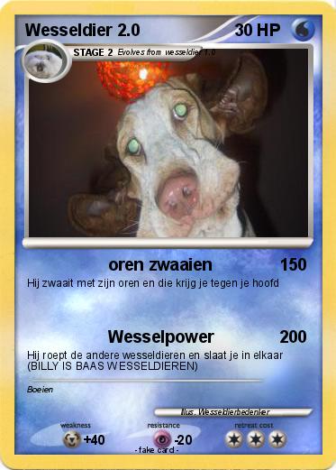 Pokemon Wesseldier 2.0