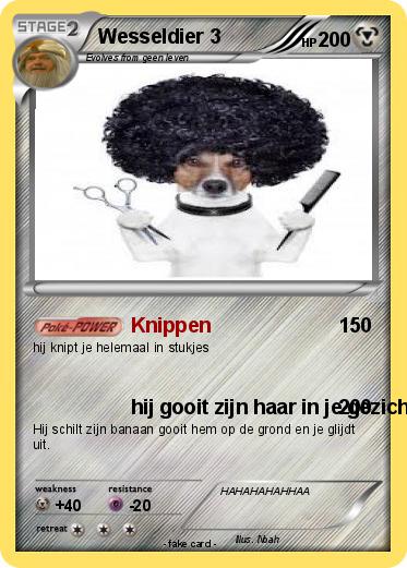 Pokemon Wesseldier 3