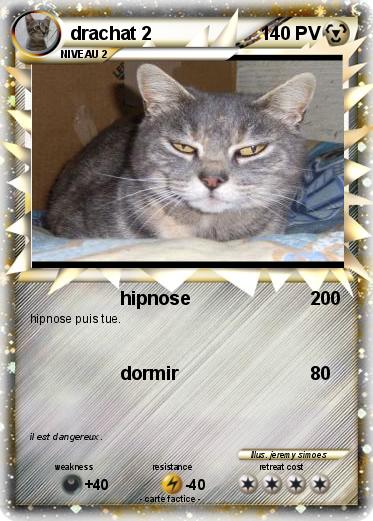 Pokemon drachat 2