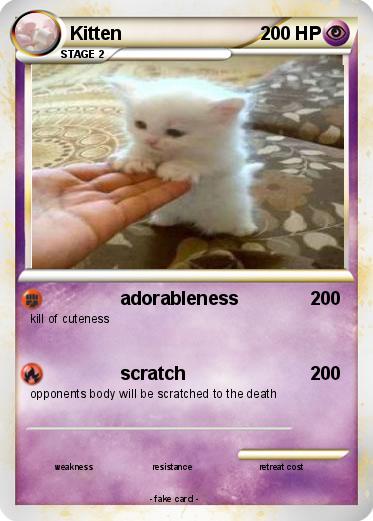 Pokemon Kitten