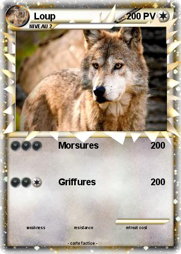Pokemon Loup