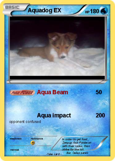 Pokemon Aquadog EX