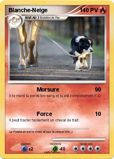 Pokemon Blanche-Neige