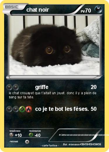 Pokemon chat noir