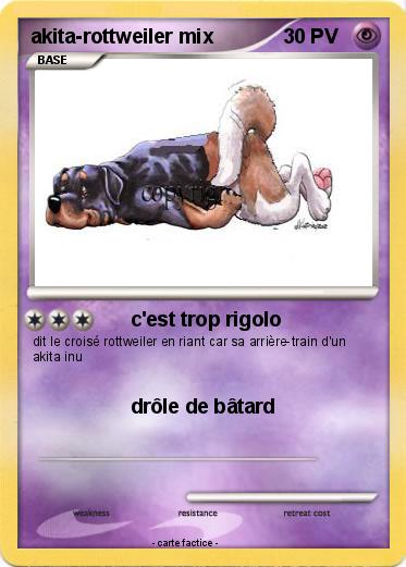 Pokemon akita-rottweiler mix
