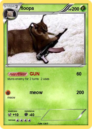 Pokemon floopa