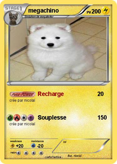 Pokemon megachino