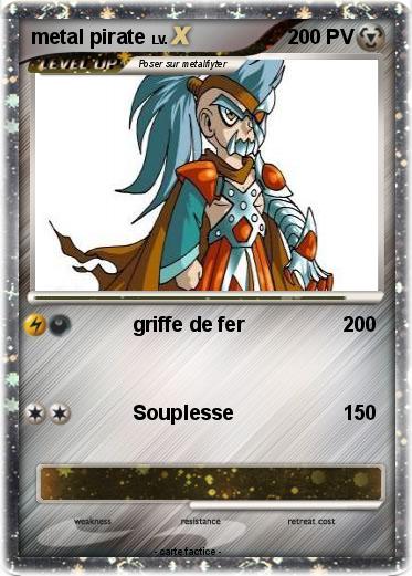 Pokemon metal pirate