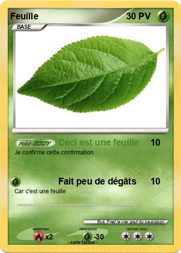 Pokemon Feuille