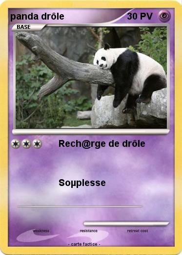 Pokemon panda drôle