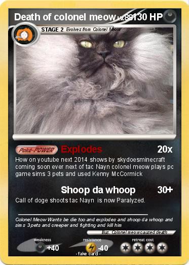 Pokemon Death of colonel meow