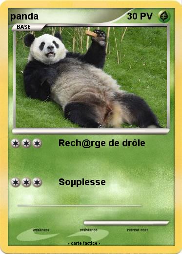 Pokemon panda