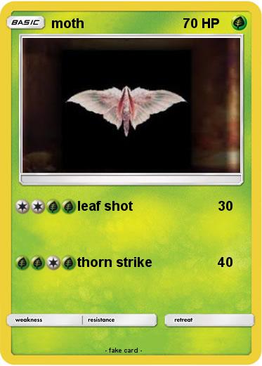 Pokemon moth