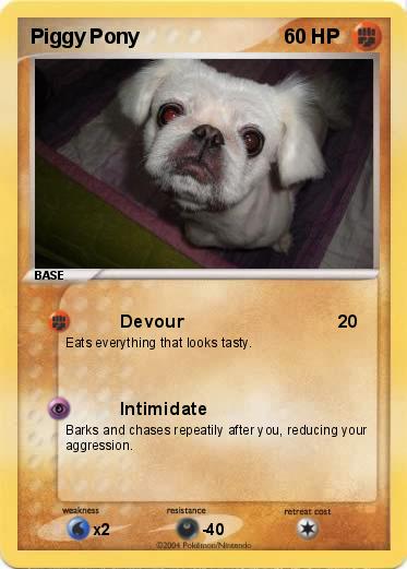 Pokemon Piggy Pony