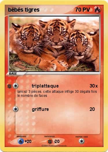 Pokemon bébés tigres