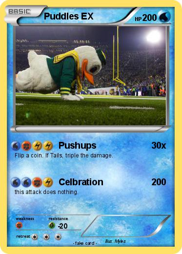 Pokemon Puddles EX