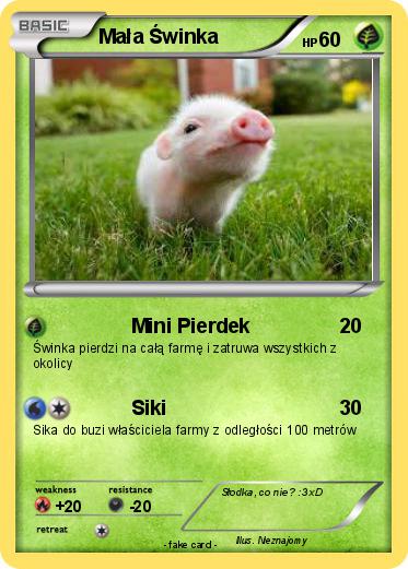 Pokemon Mała Świnka