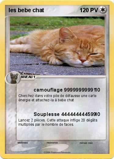 Pokemon les bebe chat