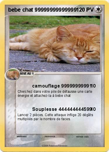 Pokemon bebe chat 99999999999999