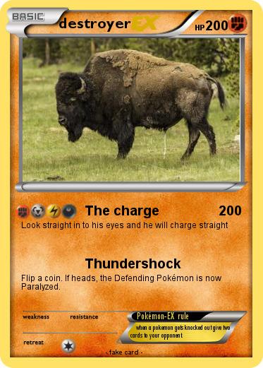 Pokemon destroyer