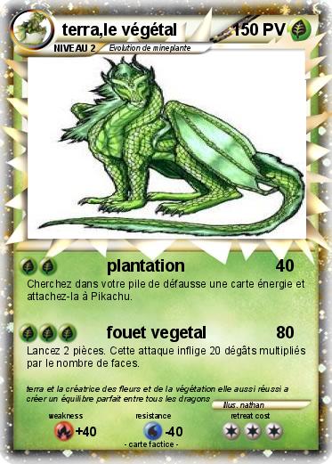 Pokemon terra,le végétal