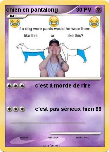 Pokemon chien en pantalong