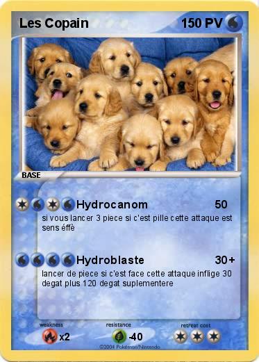 Pokemon Les Copain