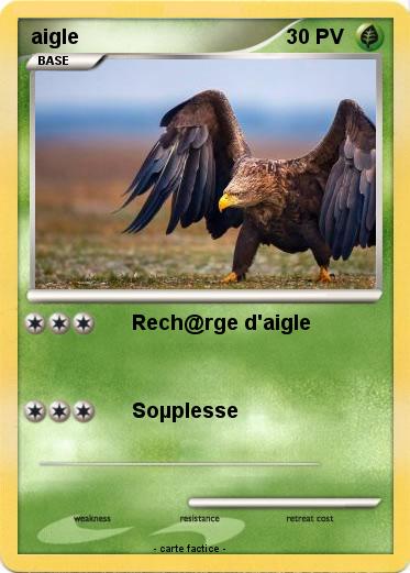 Pokemon aigle
