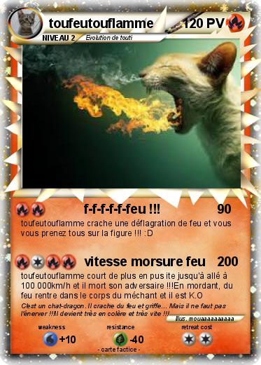 Pokemon toufeutouflamme