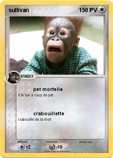 Pokemon sullivan