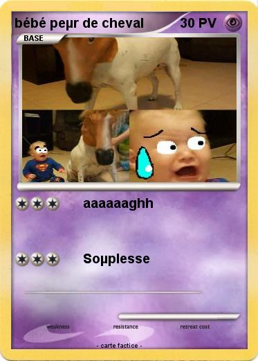 Pokemon bébé peµr de cheval