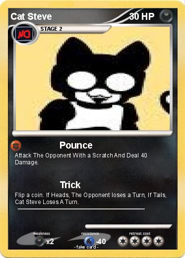 Pokemon Cat Steve