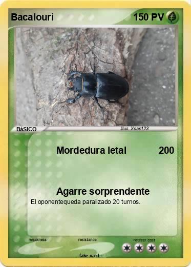 Pokemon Bacalouri