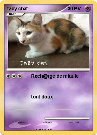 Pokemon taby chat