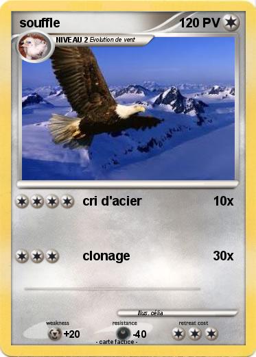 Pokemon souffle