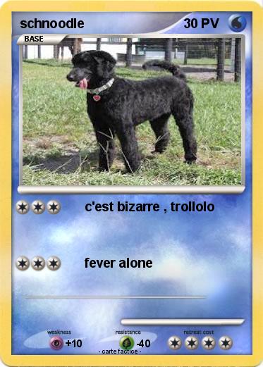 Pokemon schnoodle