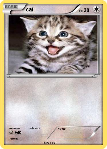 Pokemon cat